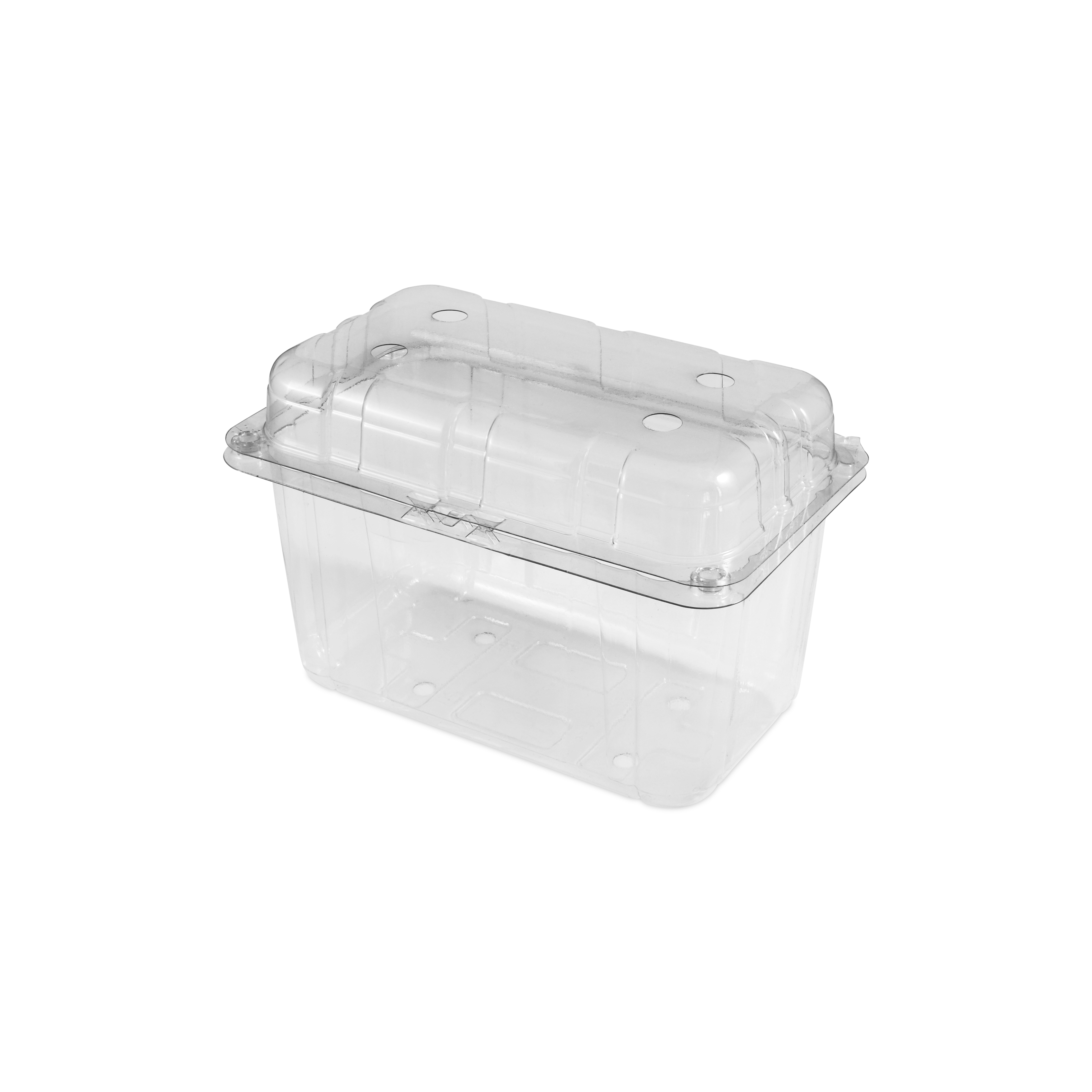 How to Store Premium Plastics in Clamshell Packaging 
