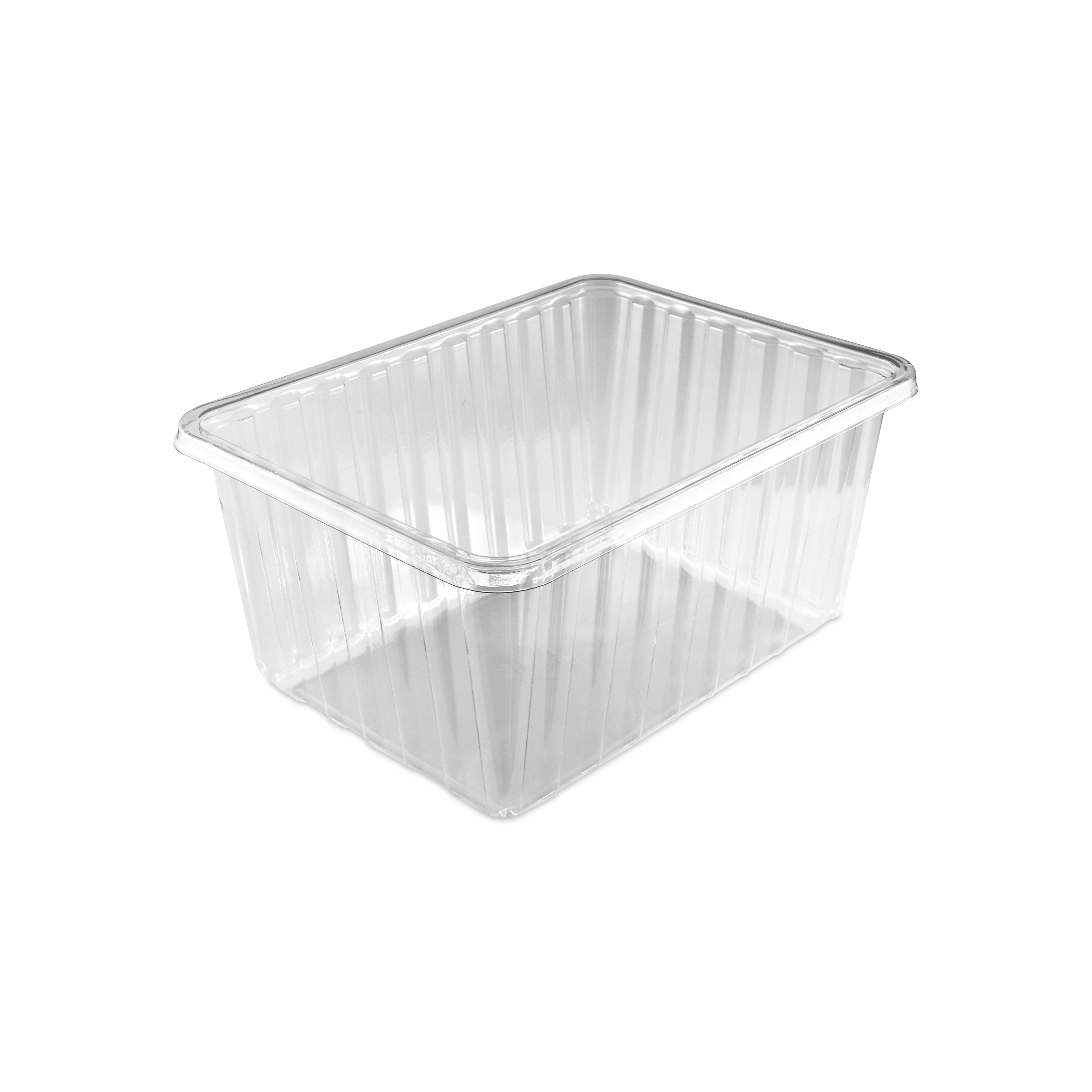 Sushi Tray 203mmx310mm